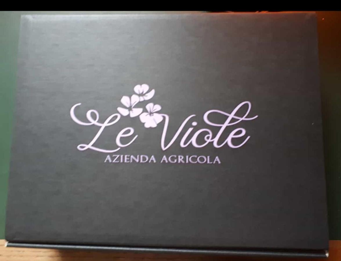 Agriturismo Le Viole Barolo Εξωτερικό φωτογραφία