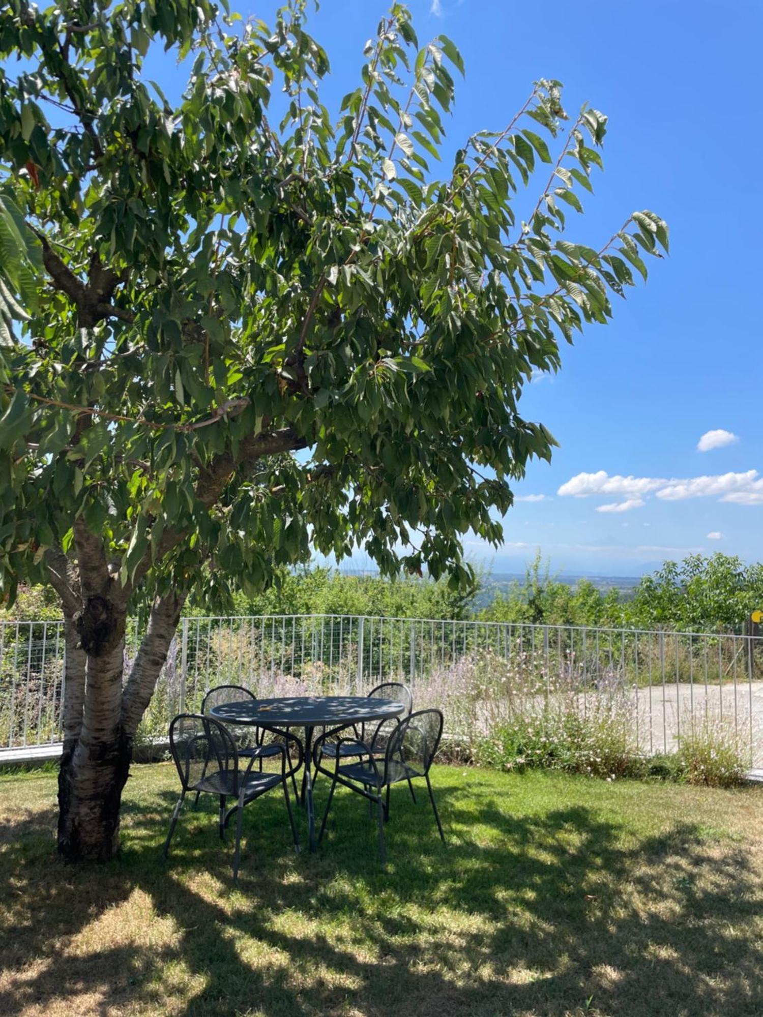 Agriturismo Le Viole Barolo Εξωτερικό φωτογραφία